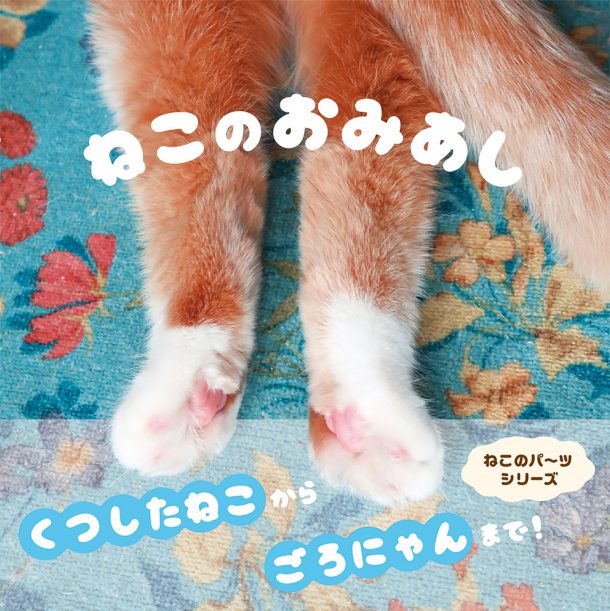 Shibainu+Ryuji+Japanese+Book+KAWAII+Shiba+Dog+Pet+Photo+Japan for sale  online