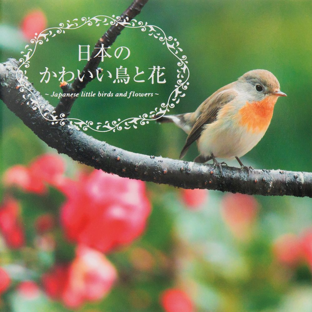日本のかわいい鳥と花 Pie International