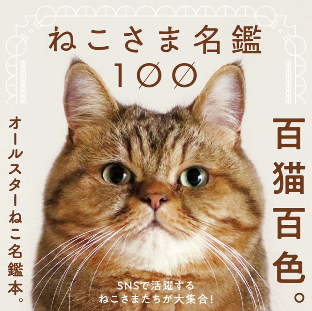 ねこさま名鑑100 | PIE International