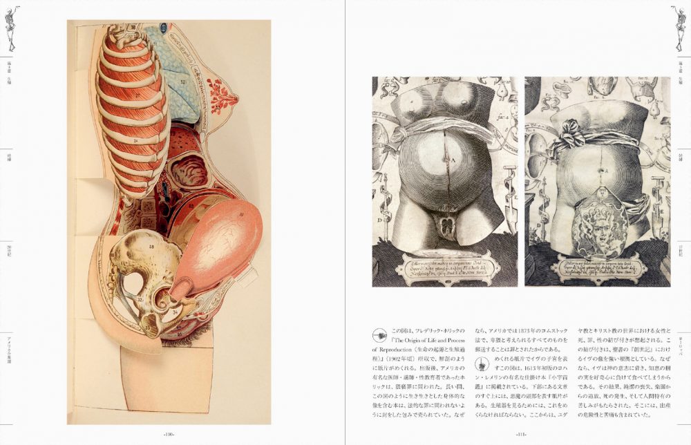 世界の人体解剖図集 | PIE International
