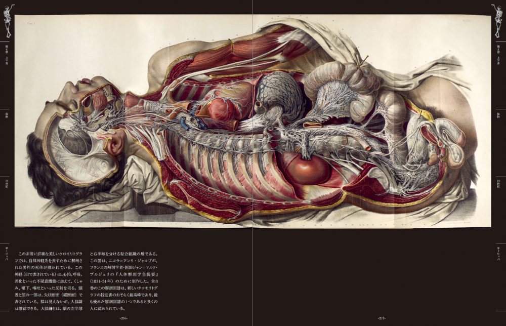 世界の人体解剖図集 Pie International