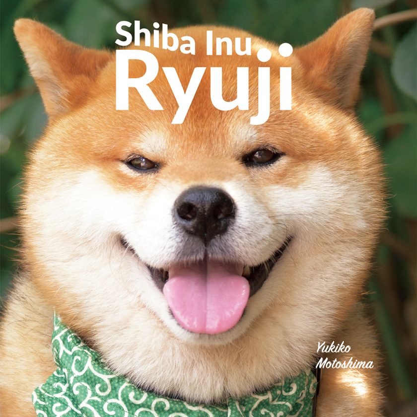 -English Edition-<br/>”Shiba Inu Ryuji” is now available!