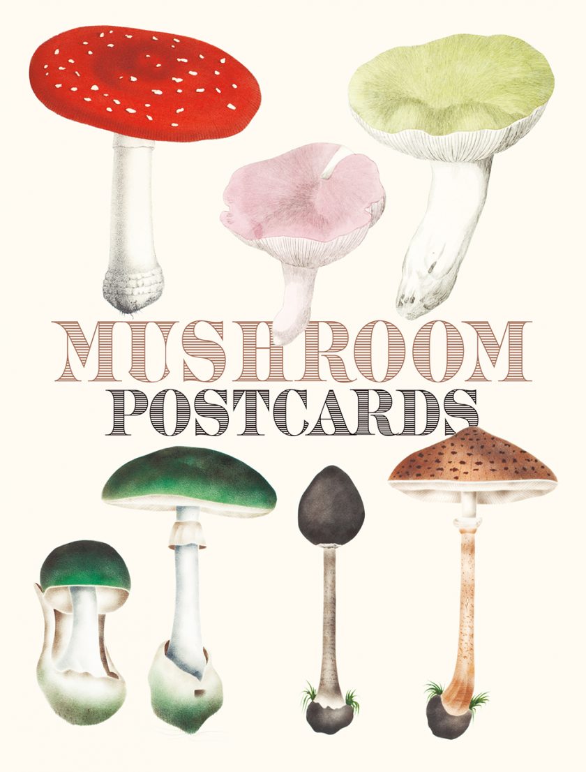 -English Edition-<br/>“Mushroom Postcards” is now available!
