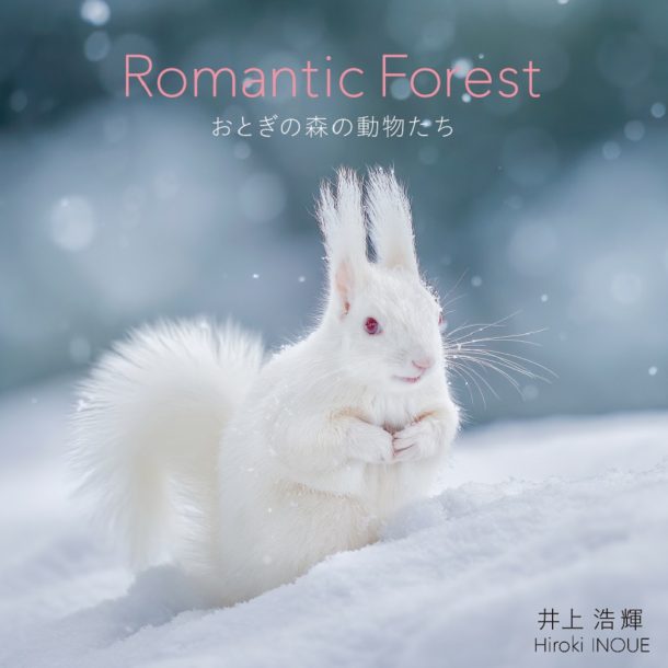 Romantic Forest おとぎの森の動物たち Pie International