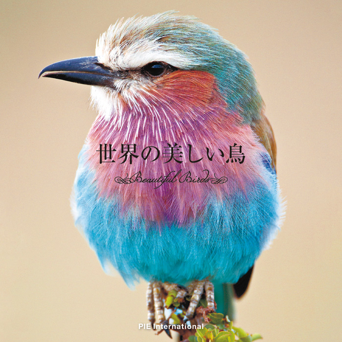 世界の美しい鳥 Pie International