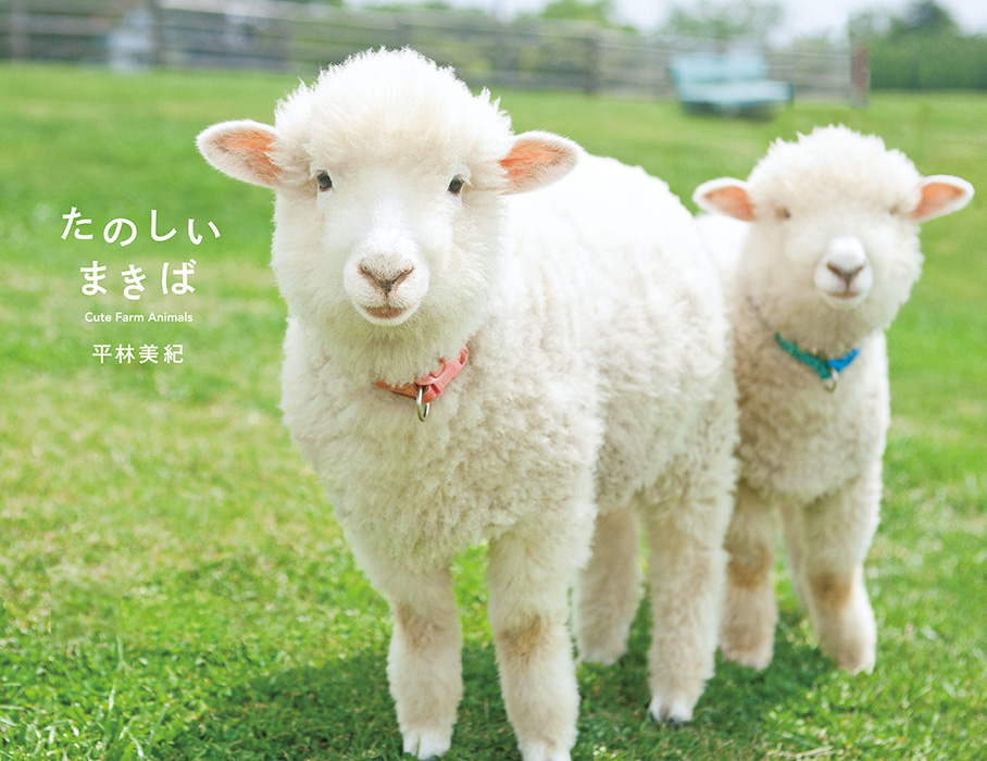 MAKIBA: Cute Farm Animals | PIE International