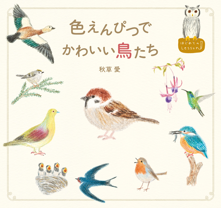 色えんぴつでかわいい鳥たち | PIE International